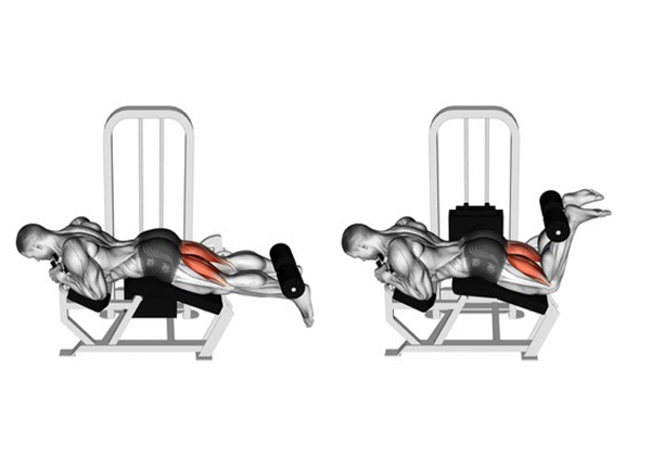Bài tập Lying Leg Curl (nằm sấp)