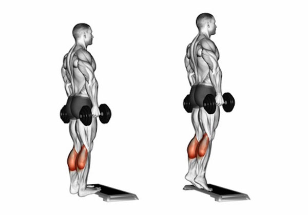 Bài tập đứng nhón chân với tạ đơn (Standing Dumbbell Calf Raise)