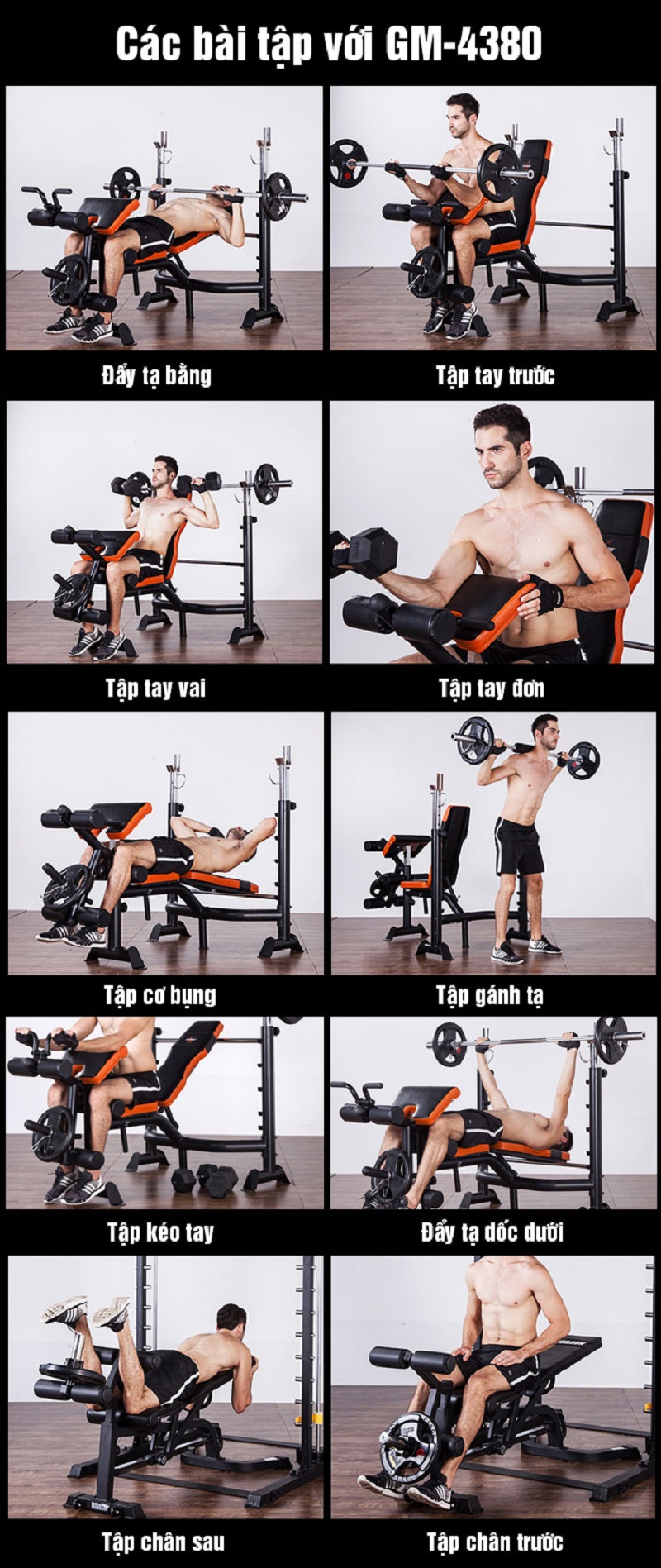 GHẾ TẬP TẠ GM 4380