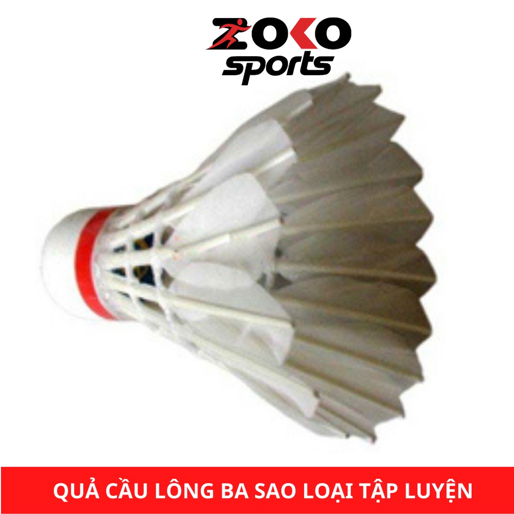 Hình ảnh về quả cầu lông Ba Sao