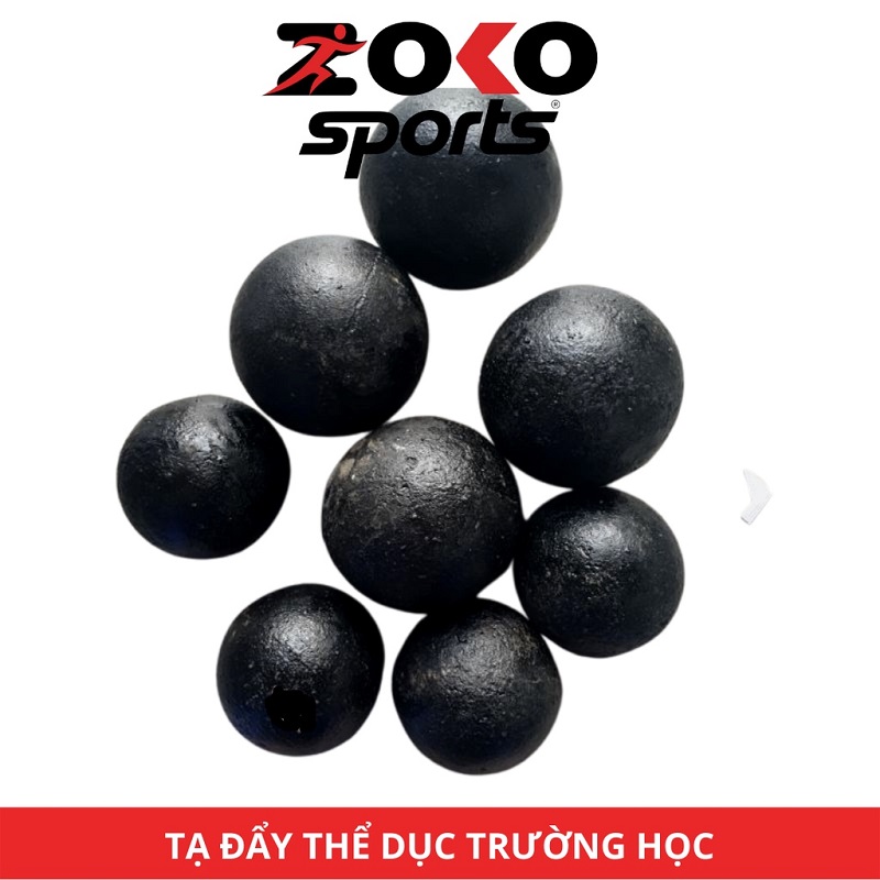 TẠ BI SẮT ĐẨY THỂ DỤC