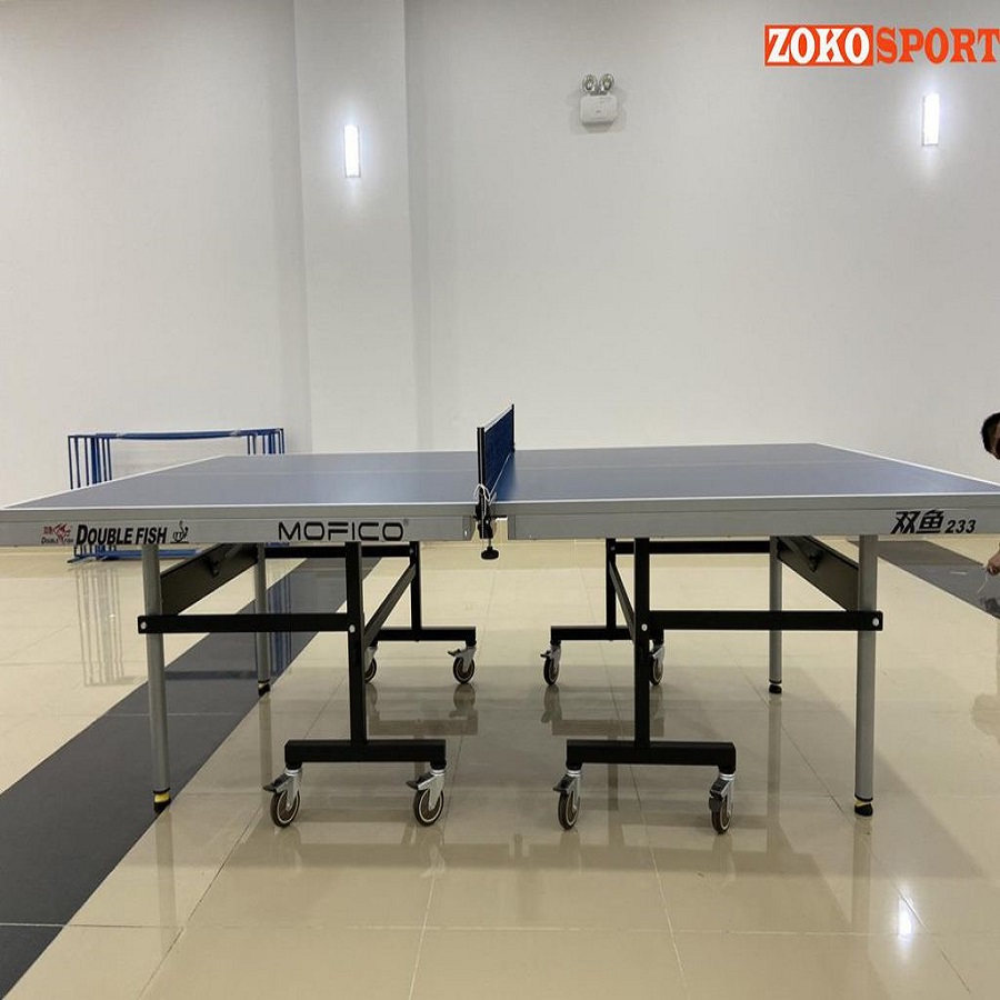 BÀN BÓNG BÀN DOUBLE FISH 233