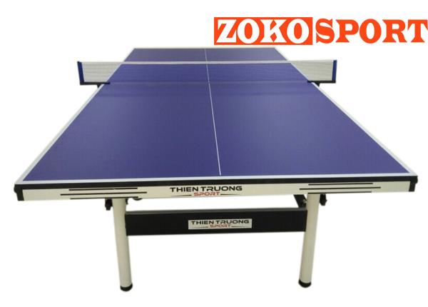 BÀN BÓNG BÀN THIÊN TRƯỜNG TT 005