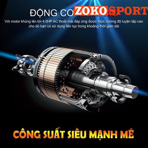 MÁY CHẠY BỘ ĐIỆN DL-T6