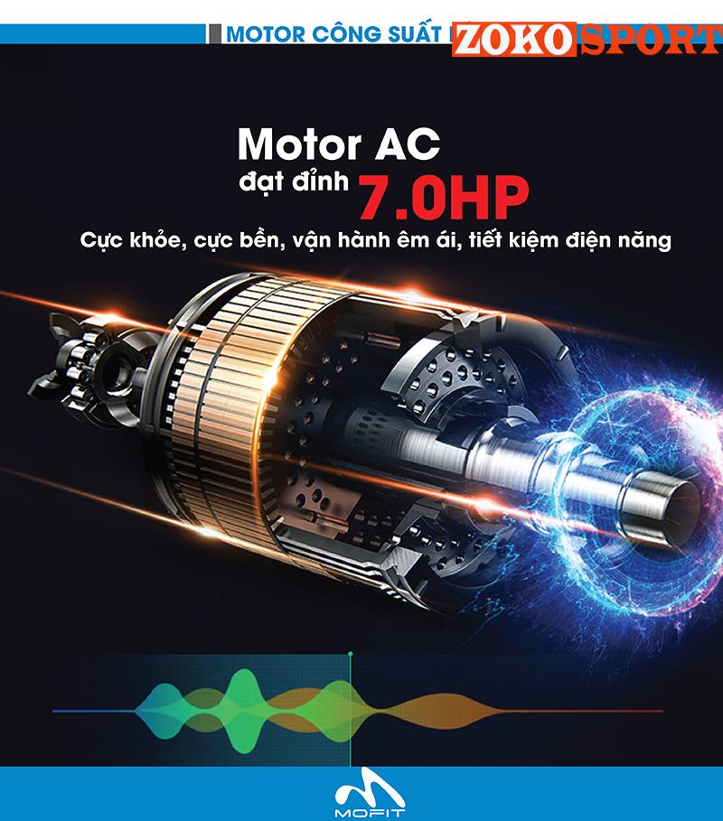 MÁY CHẠY BỘ ĐIỆN MOFIT SENIOR 6900