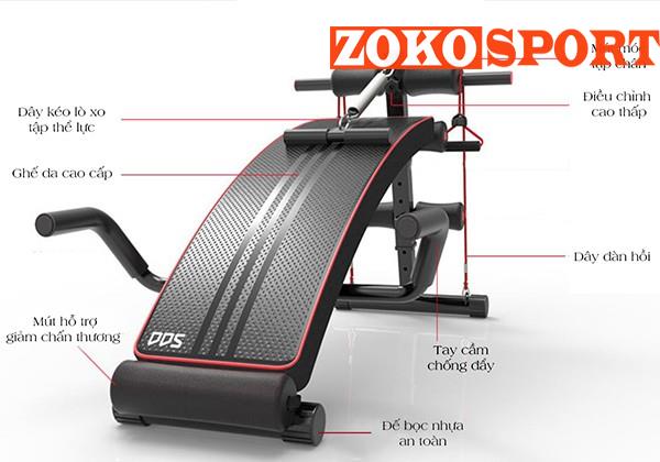 GHẾ CONG TẬP BỤNG CAO CẤP DDS