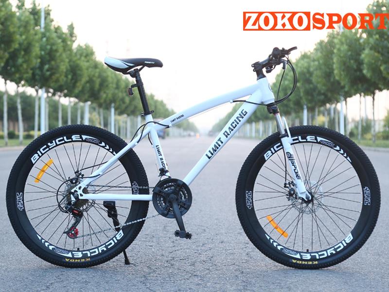 XE ĐẠP THỂ THAO LIMIT RACING VÀNH TĂM CHÍNH HÃNG ƯU ĐÃI HẤP DẪN | ZOKO ...