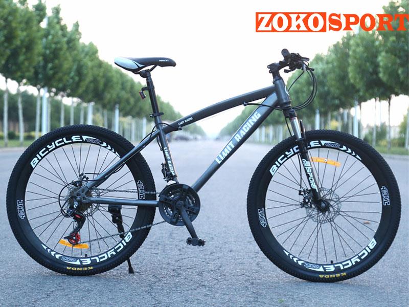 XE ĐẠP THỂ THAO LIMIT RACING VÀNH TĂM