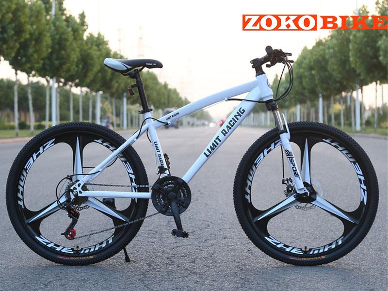 XE ĐẠP THỂ THAO LIMIT RACING VÀNH ĐÚC 3 NAN