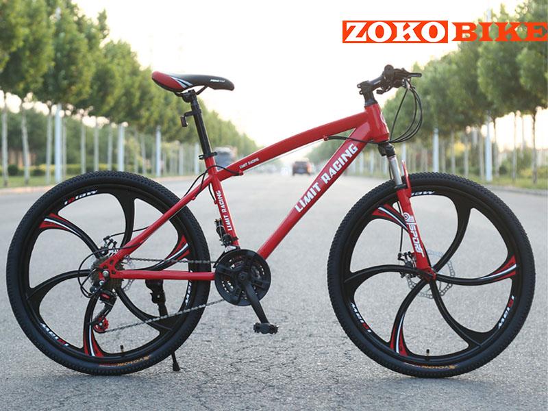 Xe Đạp Thể Thao Limit Racing Vành Đúc 6 Nan Phong Cách | ZOKO SPORT