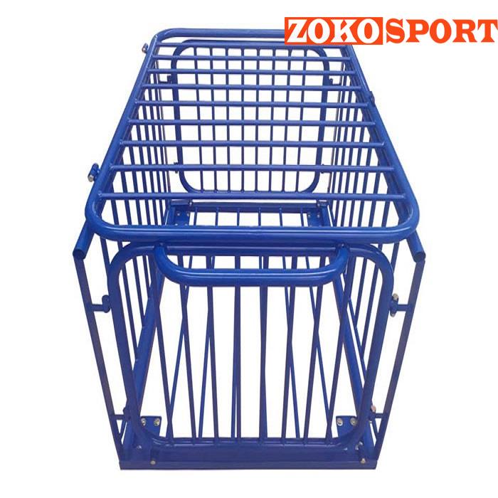 XE ĐỰNG BÓNG S30532