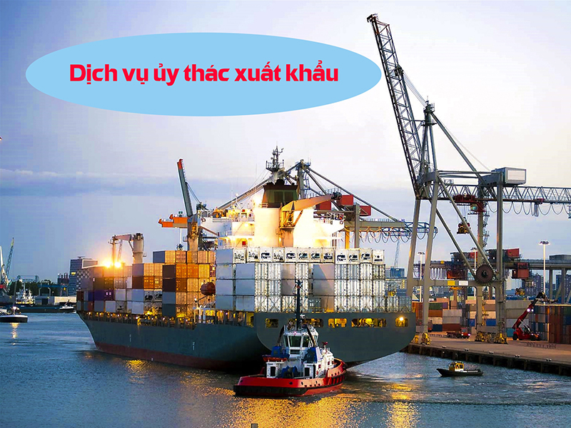 Dịch vụ uỷ thác xuất nhập khẩu tin cậy, nhanh chóng, hiệu quả