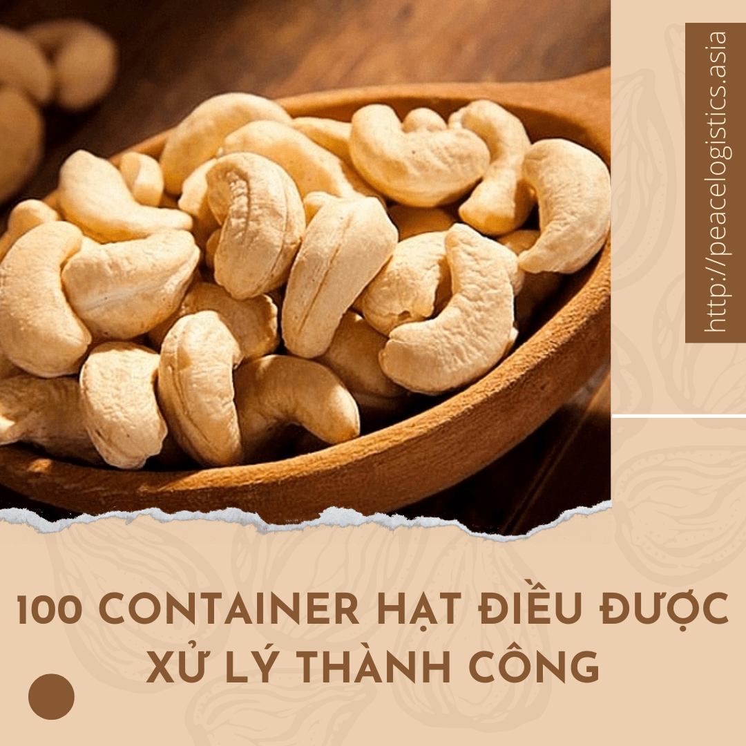 100 Container Hạt Điều Tại Việt Nam Đã Được Xử Lý
