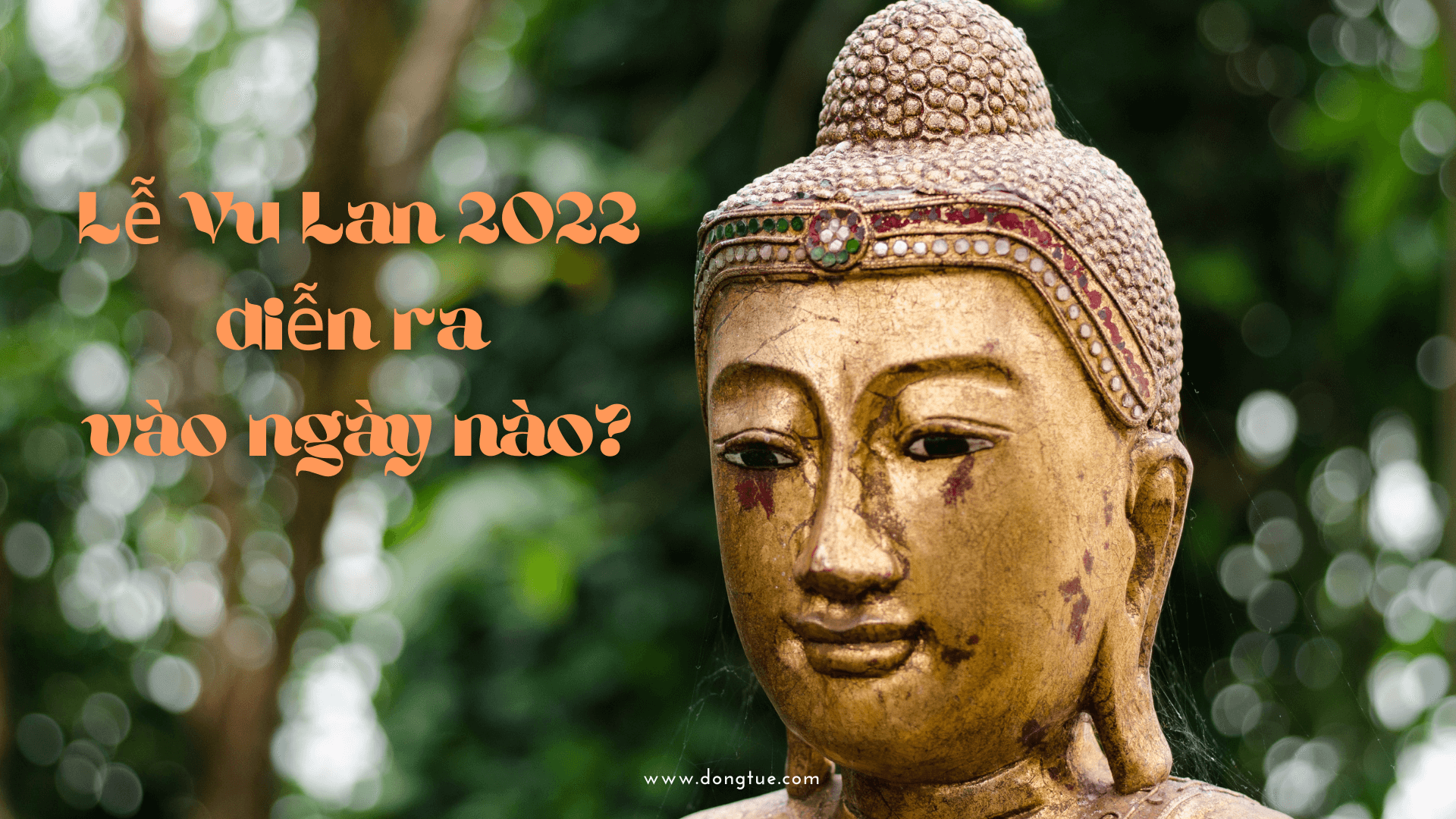 Vu lan báo hiếu 2020 | Hình ảnh, Hình, Cha mẹ