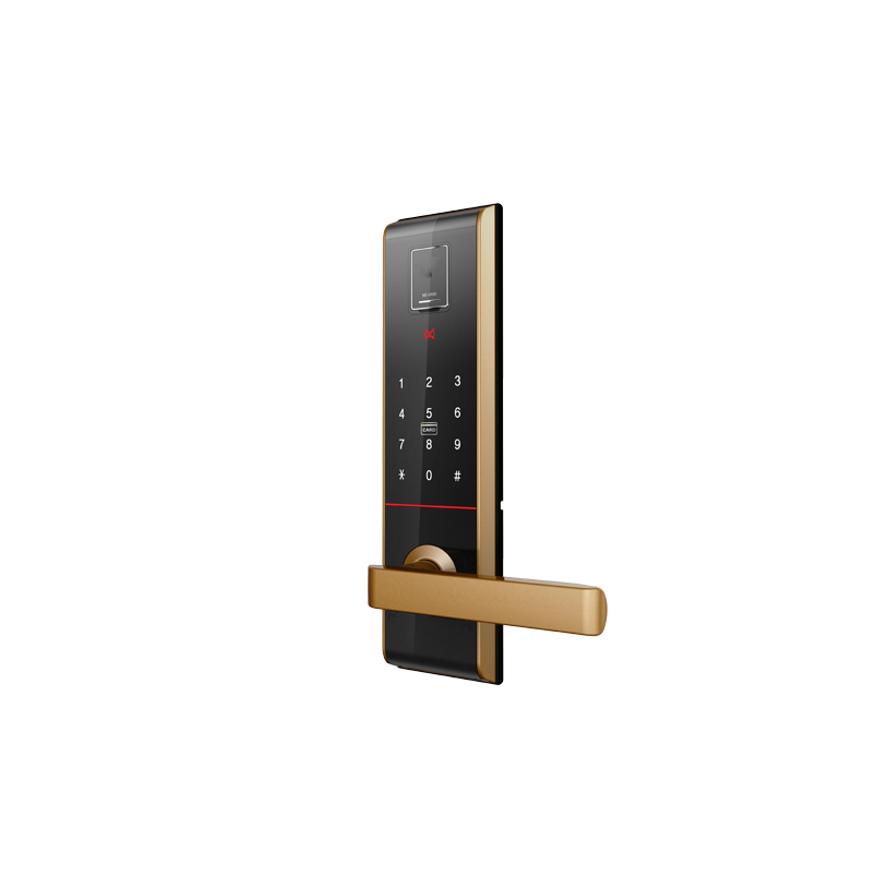 KHÓA ĐIỆN TỬ HAFELE EL9000 VÀNG 912.05.376