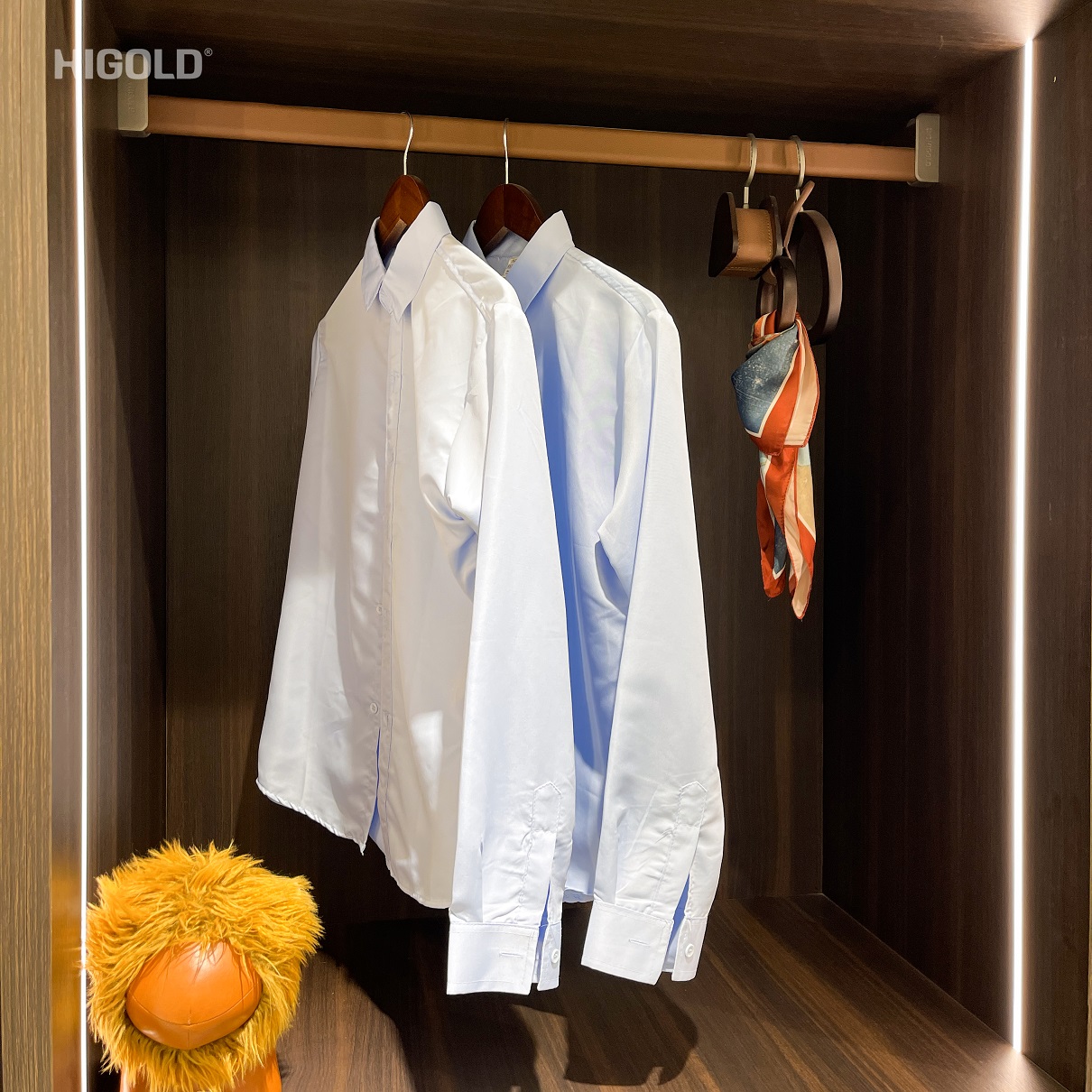 THANH SUỐT TREO QUẦN ÁO OVAL HIGOLD SERIES BV 2.0