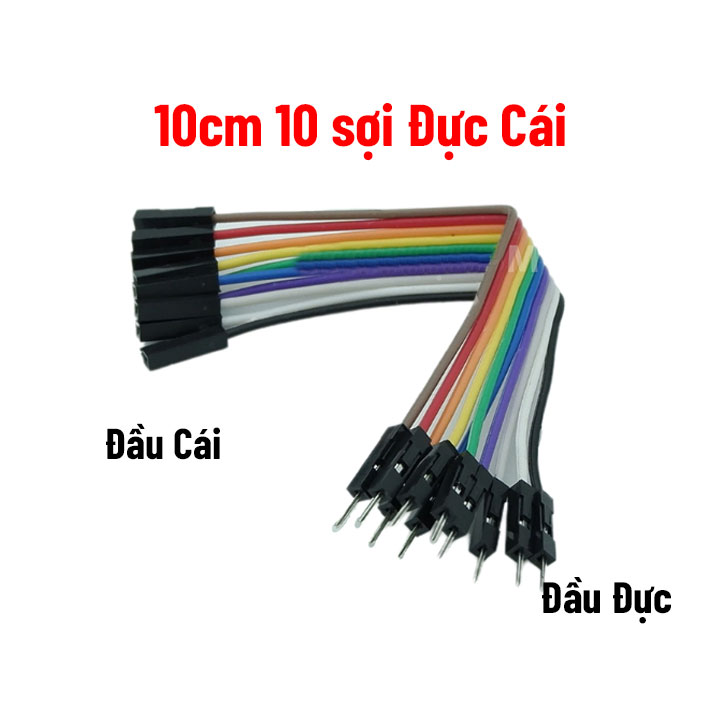 Dây Cắm Test Board 7 Màu Dài 10cm Đực-Cái/Đực-Đực-Cái-Cái
