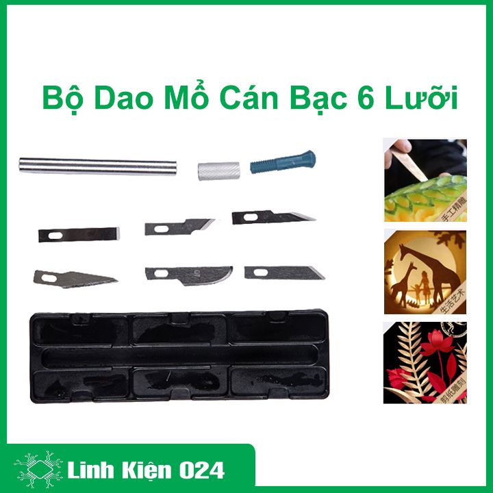 Bộ Dao Mổ Cán Bạc 6 Lưỡi Dao Kĩ Thuật