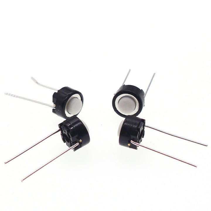 Nút Nhấn 2 Chân - Trắng (K2C10)