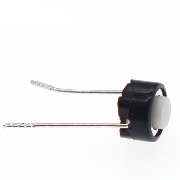 Nút Nhấn 2 Chân - Trắng (K2C10)