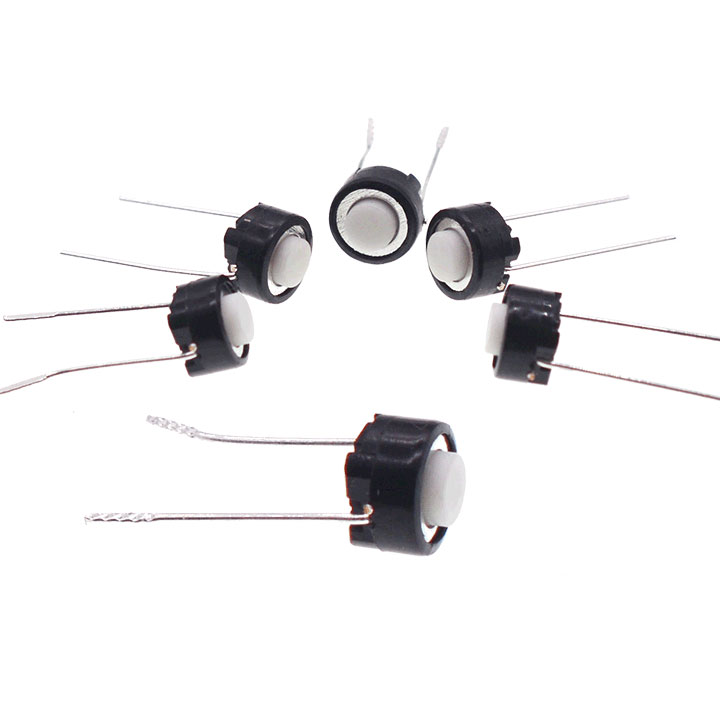 Nút Nhấn 2 Chân - Trắng (K2C10)