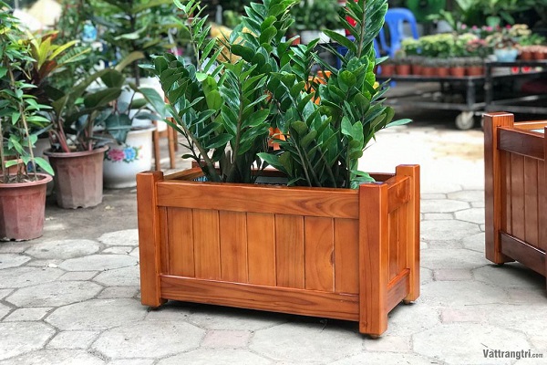 70 kiểu chậu cây gỗ ngoài trời trang trí sân vườn và ngoài trời
