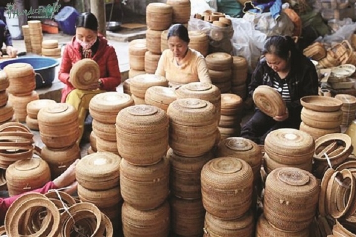 Vùng trồng cói để làm sản phẩm mỹ nghệ có từ lâu đời tại miền Bắc