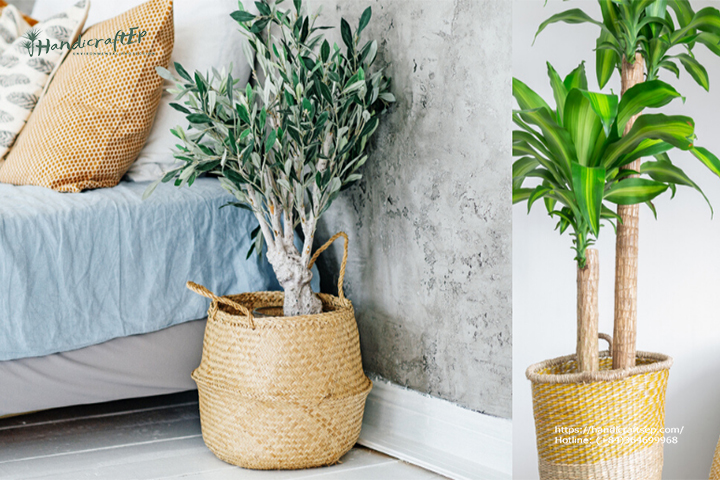 Giỏ cói trồng cây vừa đẹp vừa bảo vệ môi trường