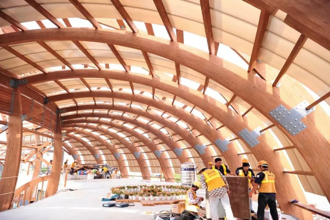 Phát hiện loại gỗ mới ở Việt Nam có thể thay thế bê tông