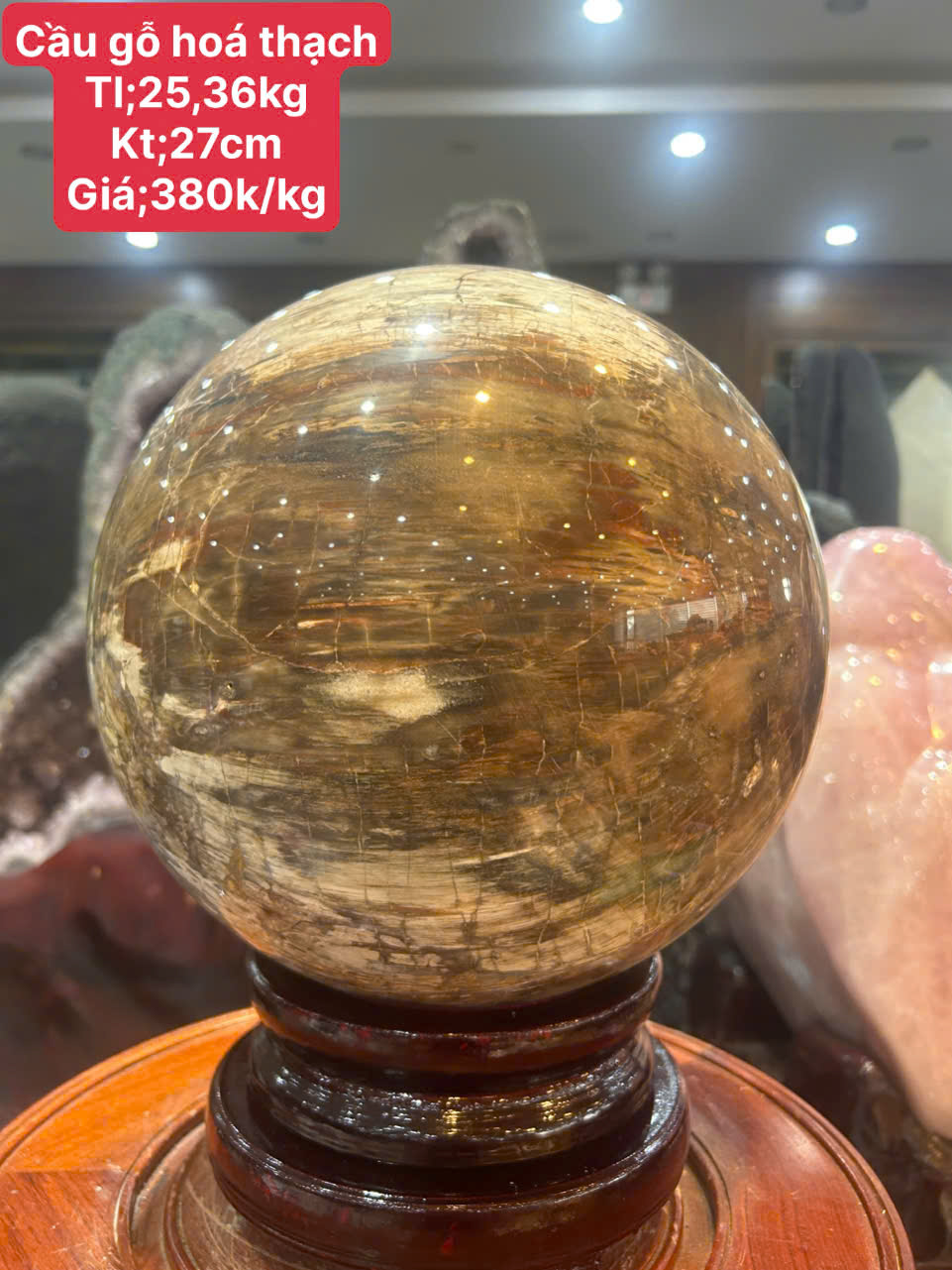 Quả Cầu Gỗ Hóa Thạch 27cm Bách Niên Giai Lão, Trấn Trạch Trường Tồn