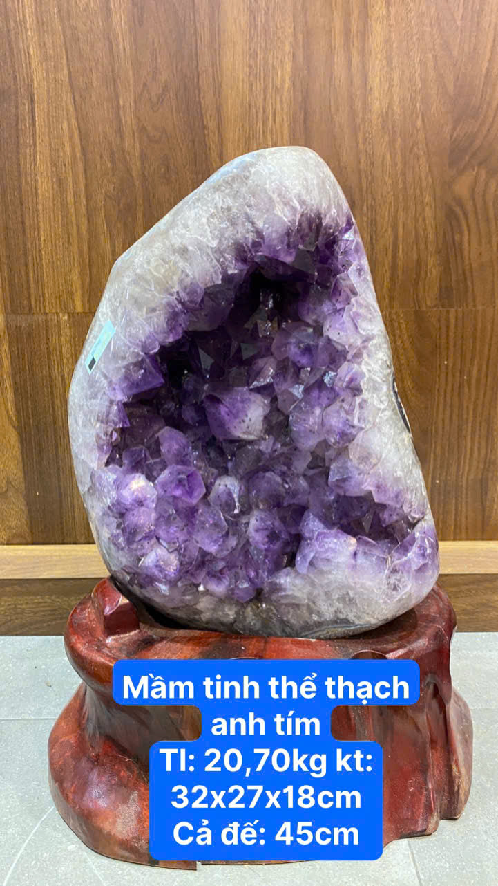 Mầm Tinh Thể Thạch Anh Tím Vật Trấn Trạch Tụ Khí