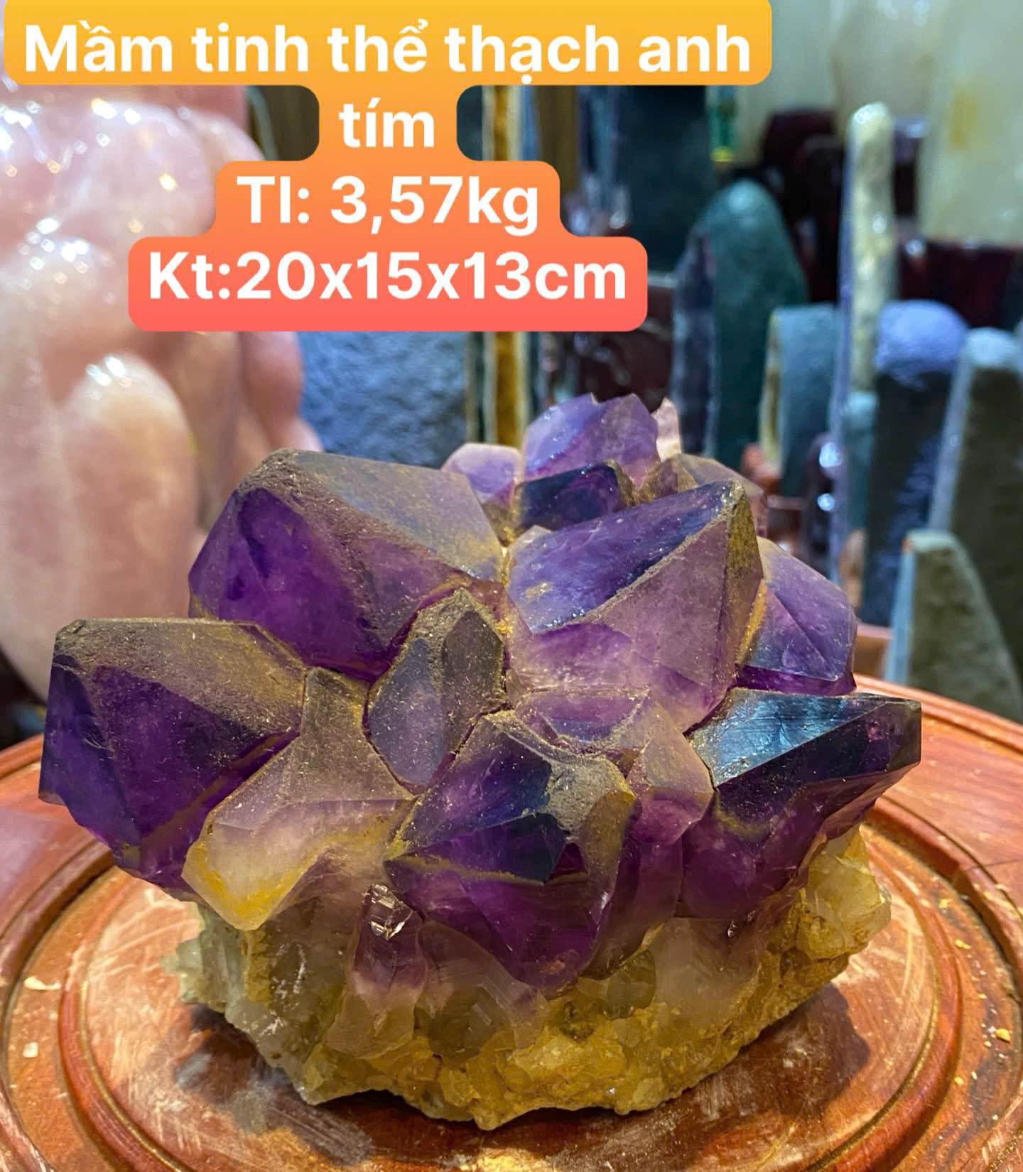 Mầm Tinh Thể Thạch Anh Tím Tử Quang Minh Khai Tâm Tụ Khí