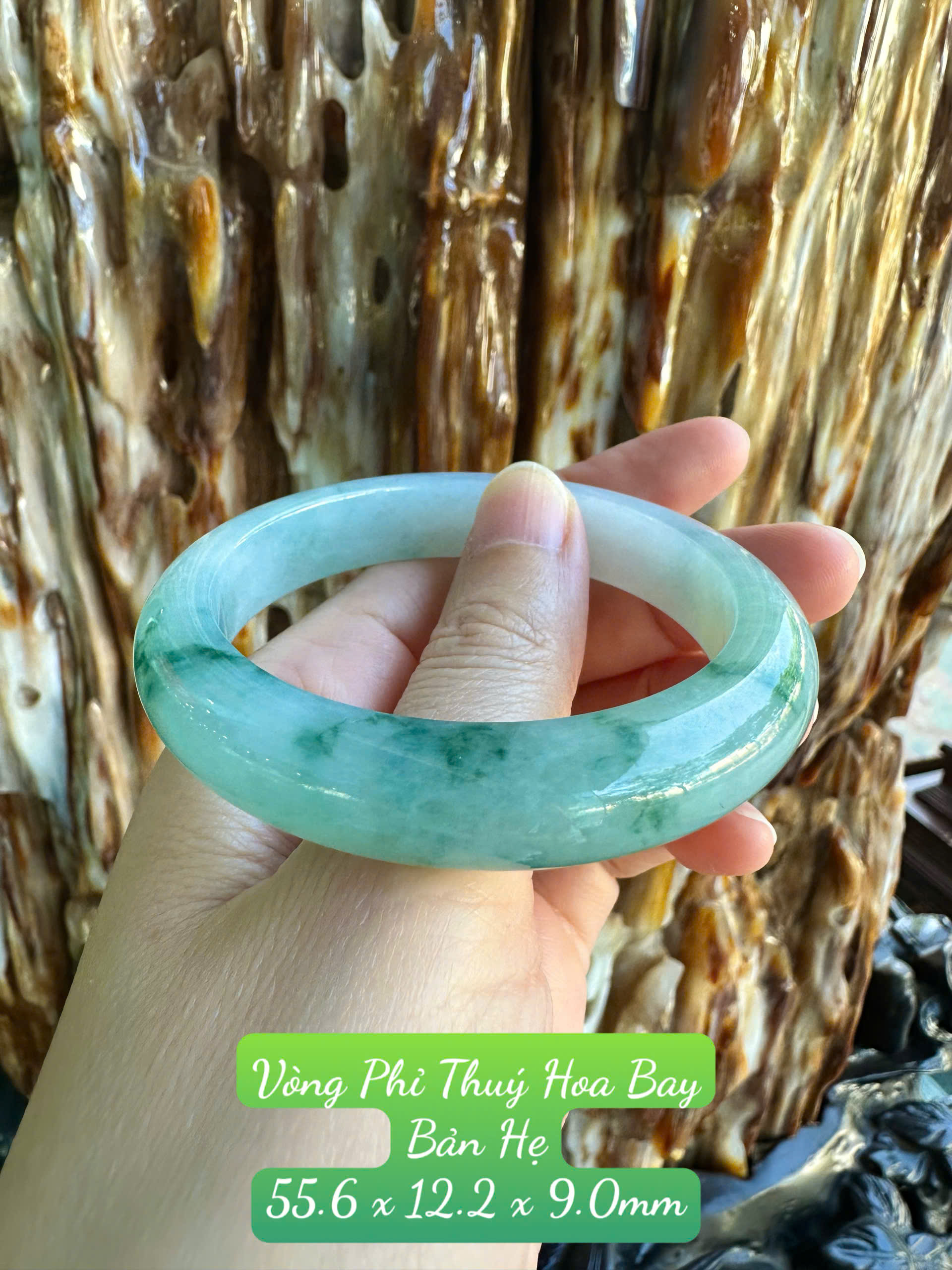 Vòng Phỉ Thúy Bản Hẹ Hoa Bay Thanh Tao & Cuốn Hút
