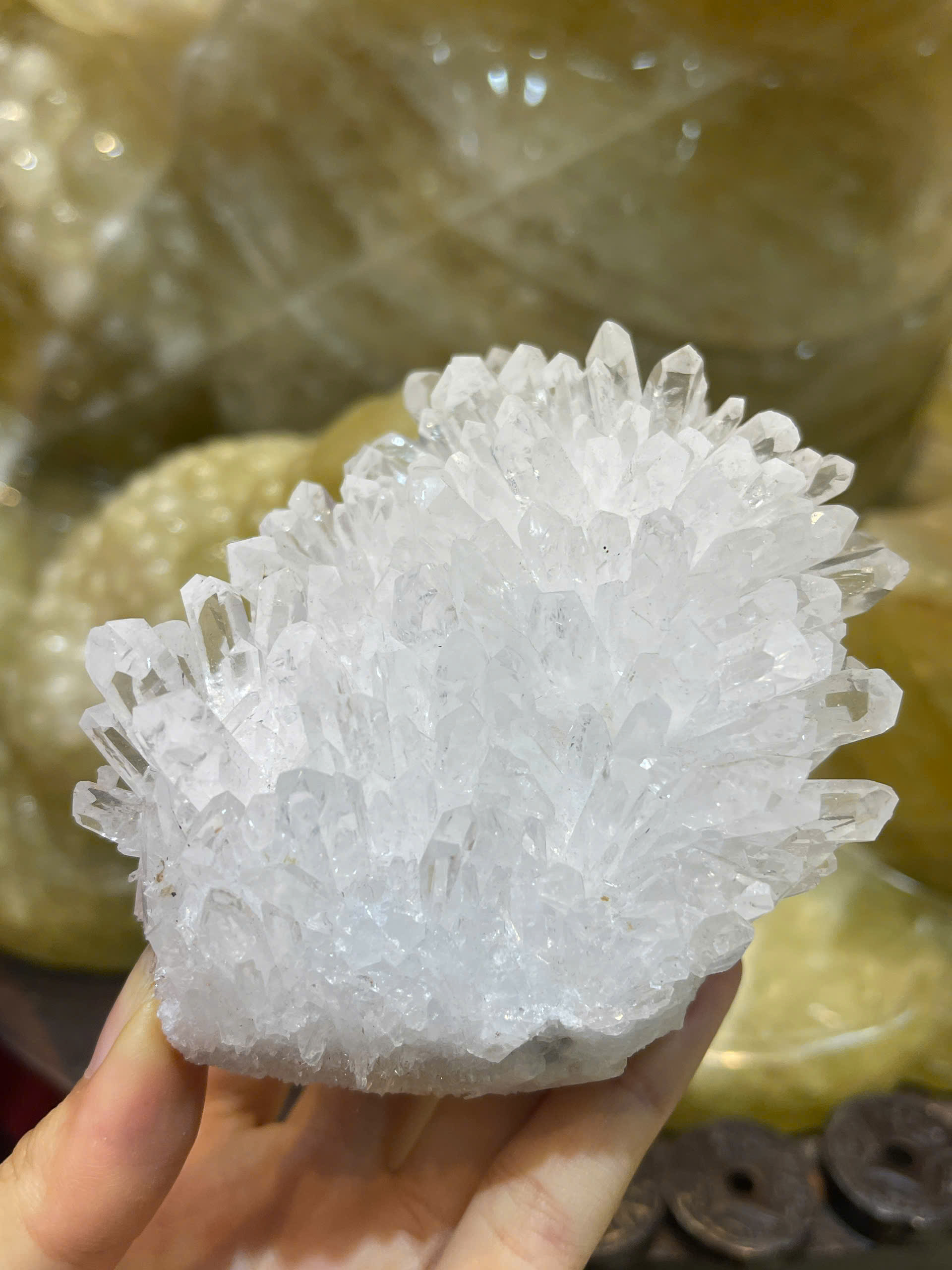 Mầm Tinh Thể Thạch Anh Trắng Bạch Ngọc Quang Minh