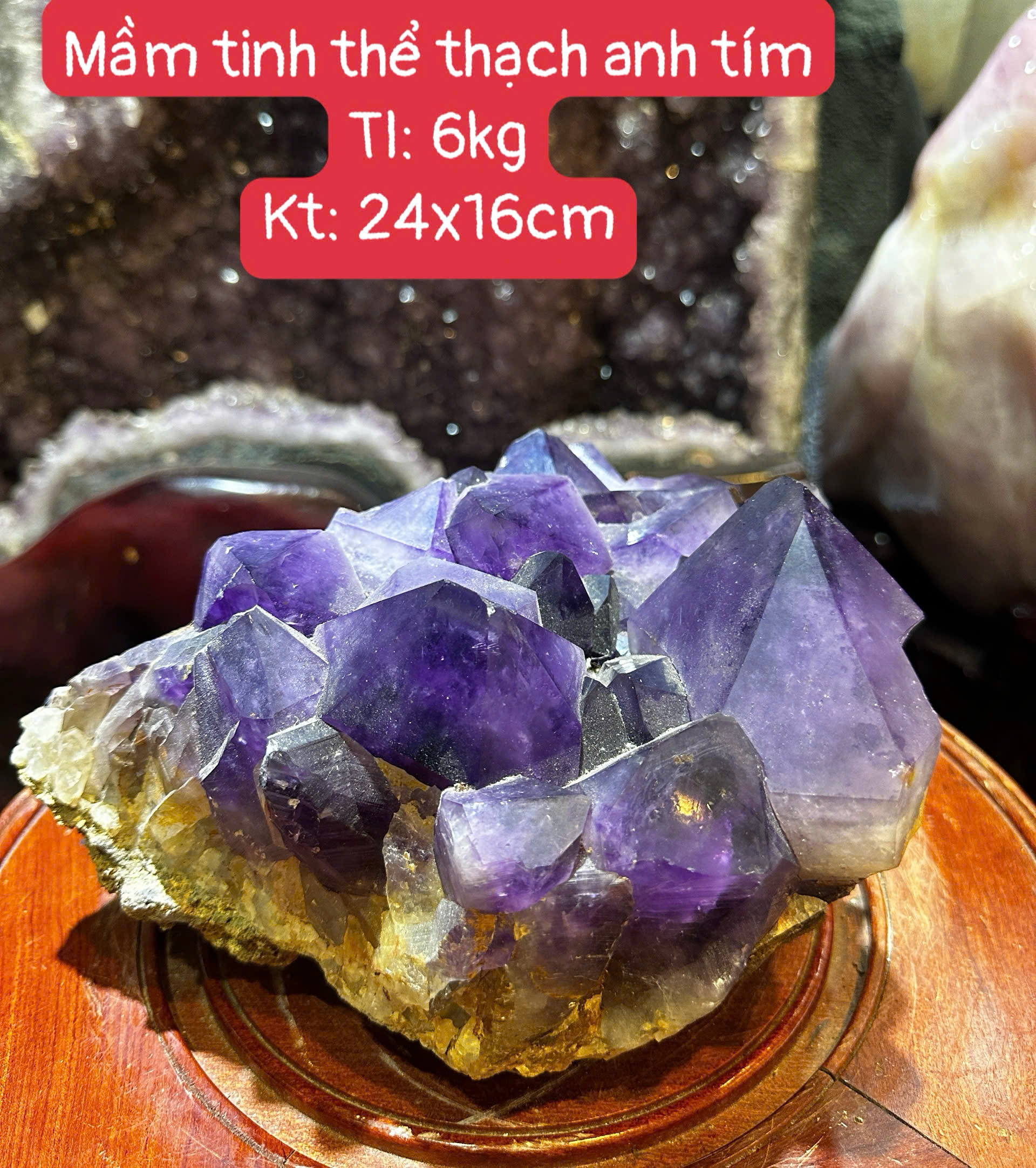 Mầm Tinh Thể Thạch Anh Tím Tử Kích Sinh Khí Khai Mở Uy Phong