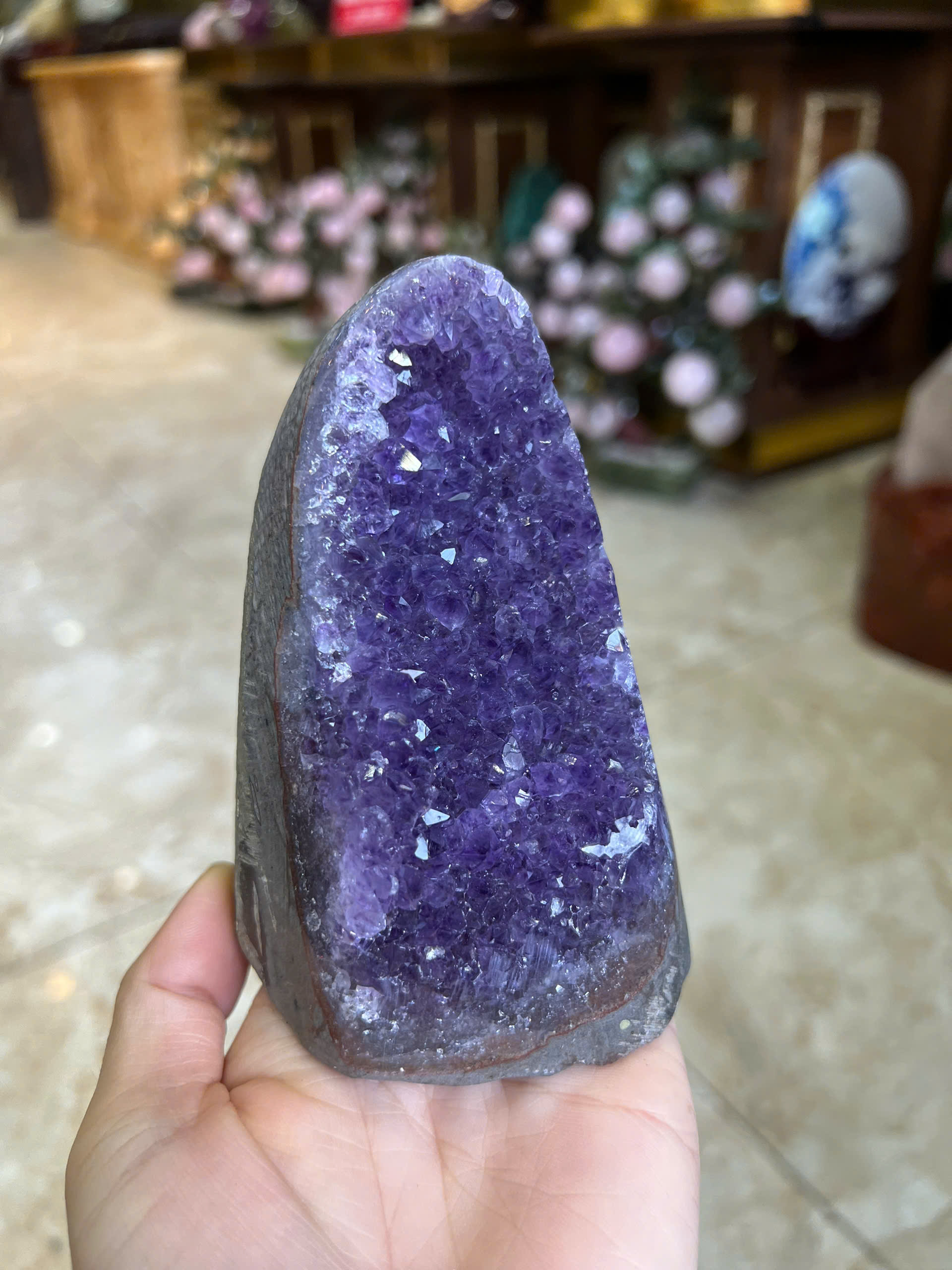Mầm Thạch Anh Tím Tụ Trí Khai Tâm