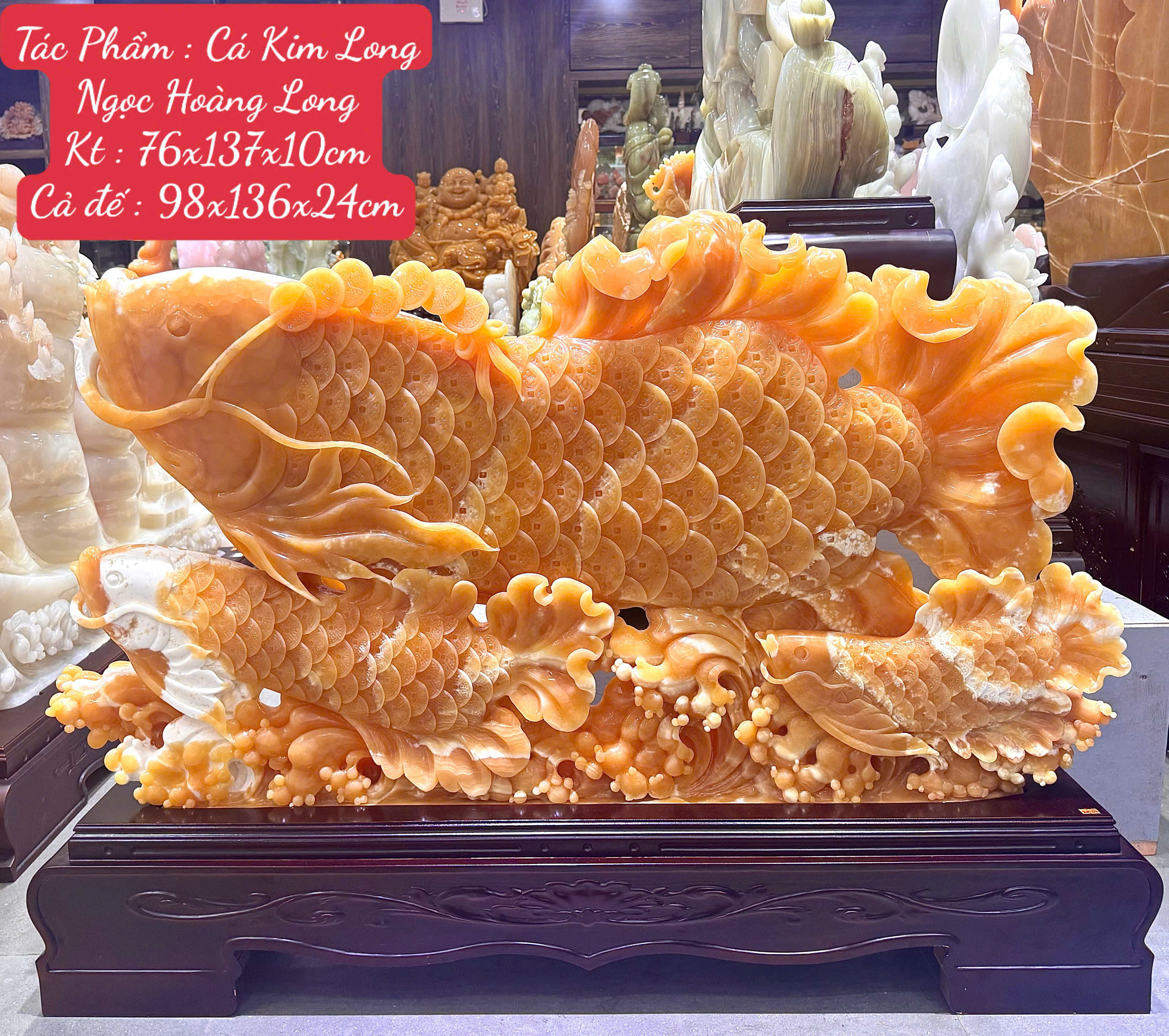 Cá Kim Long Ngọc Hoàng Long Size Đại Khối Đại Bảo Vật Chiêu Tài Khai Vận