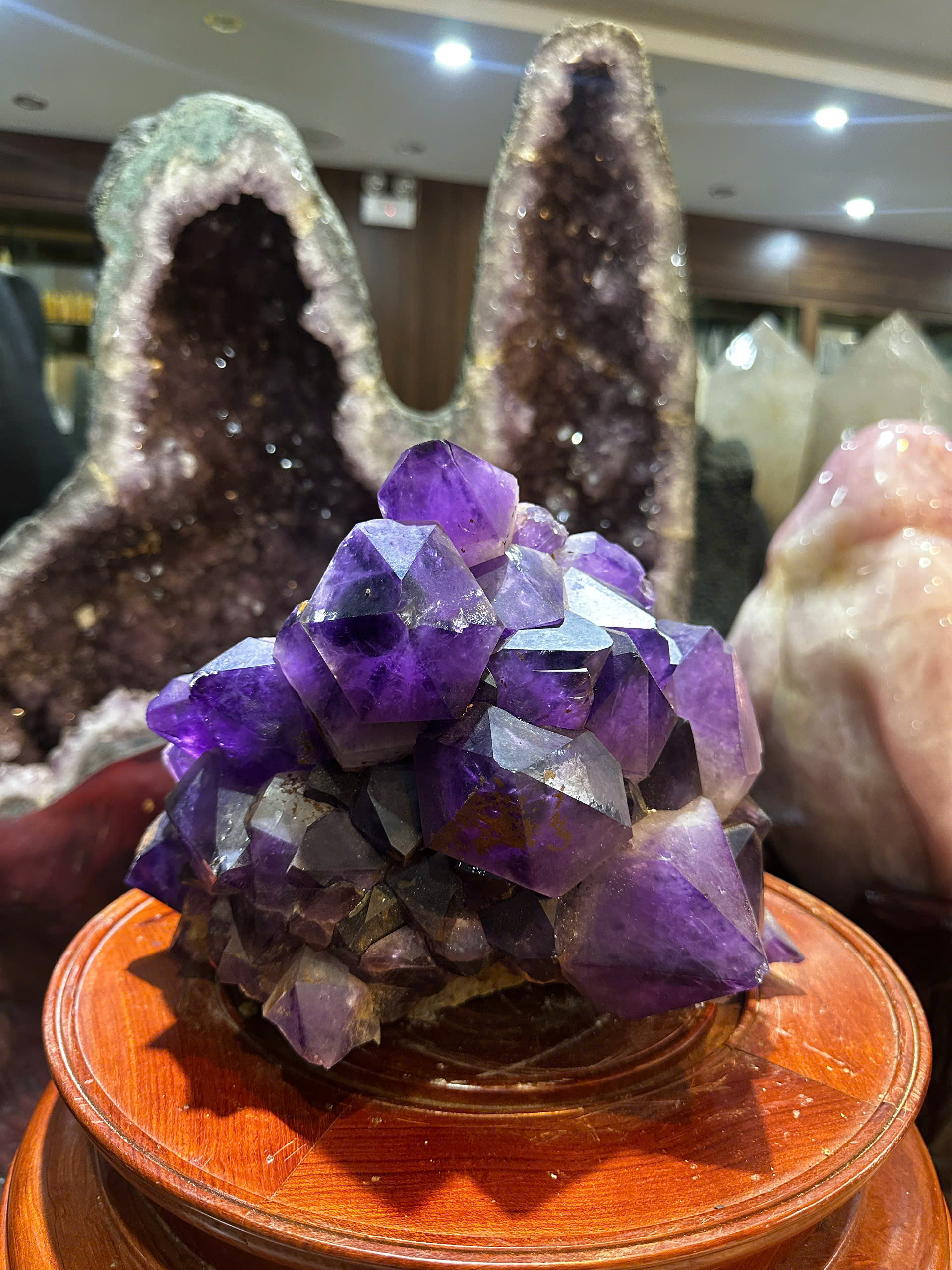 Mầm Tinh Thể Thạch Anh Tím Trấn Trạch Tụ Tài