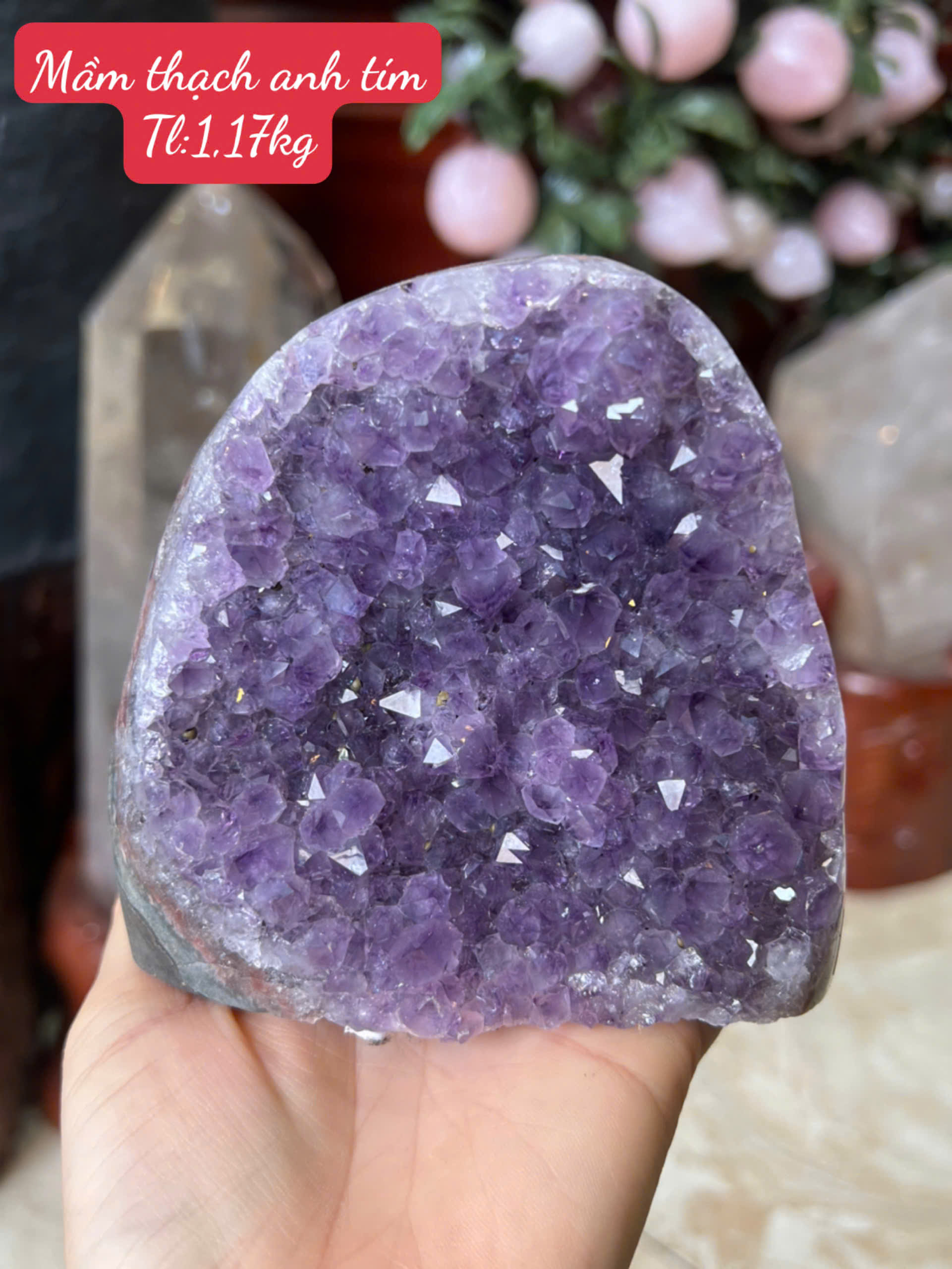 Mầm Thạch Anh Tím Kiệt Tác Tinh Thể Tụ Khí