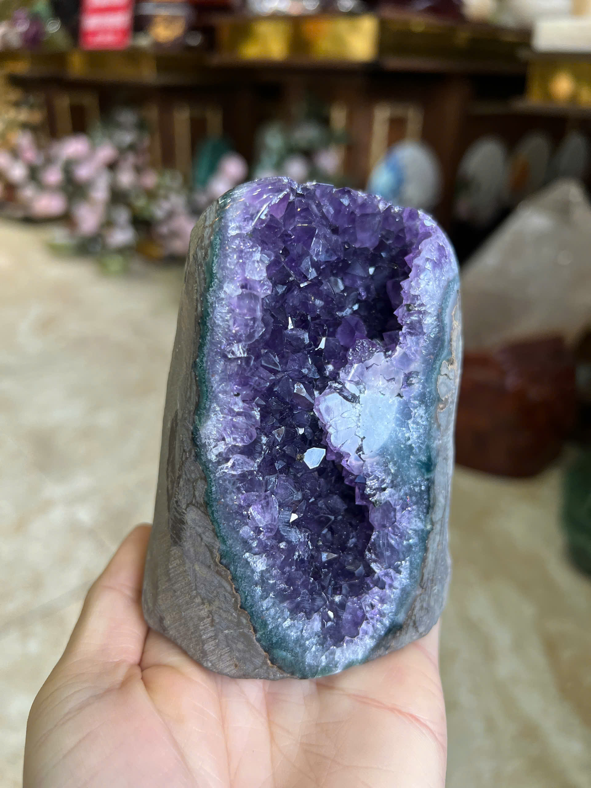 Mầm Thạch Anh Tím Hoàng Gia