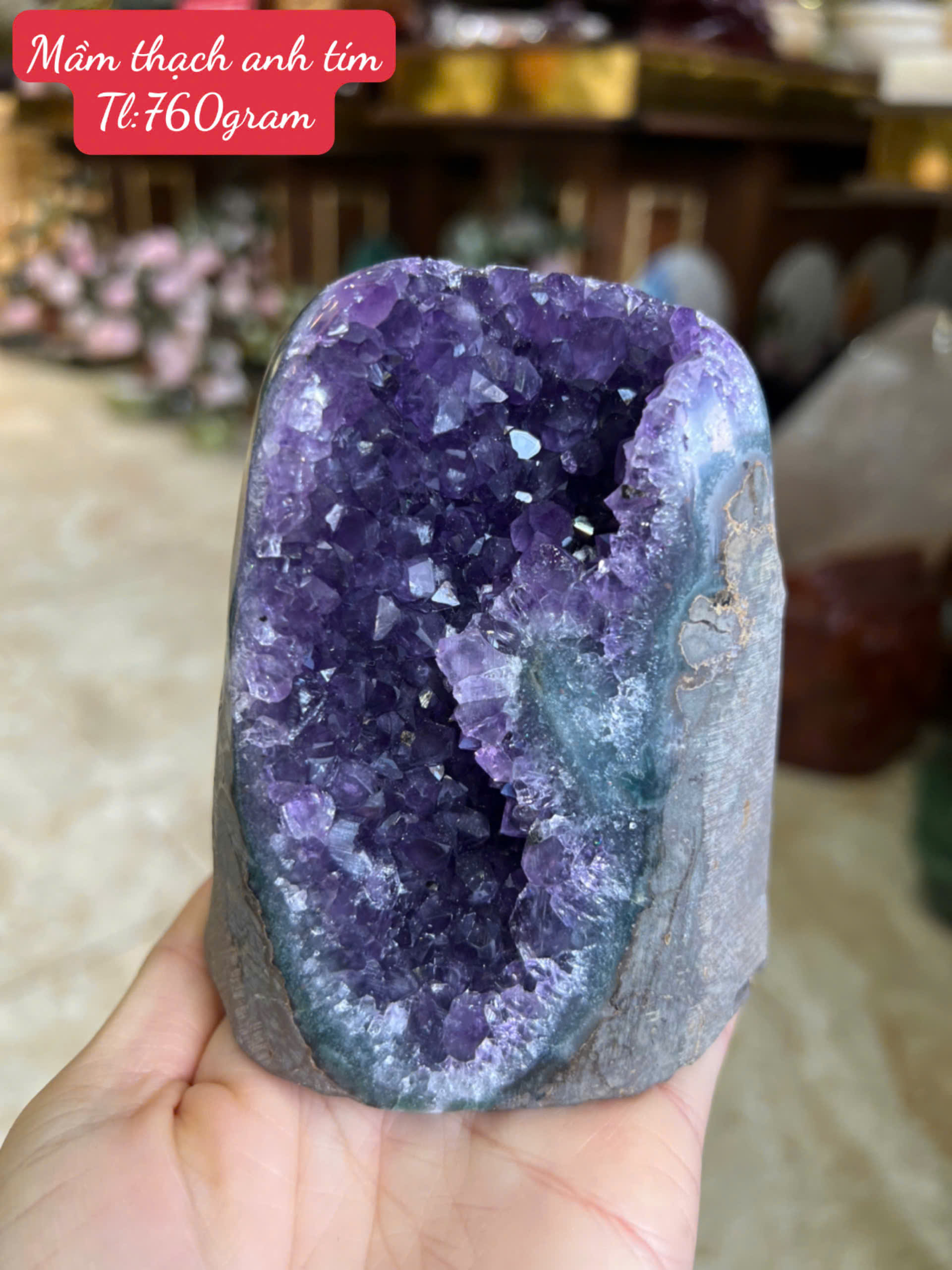 Mầm Thạch Anh Tím Hoàng Gia