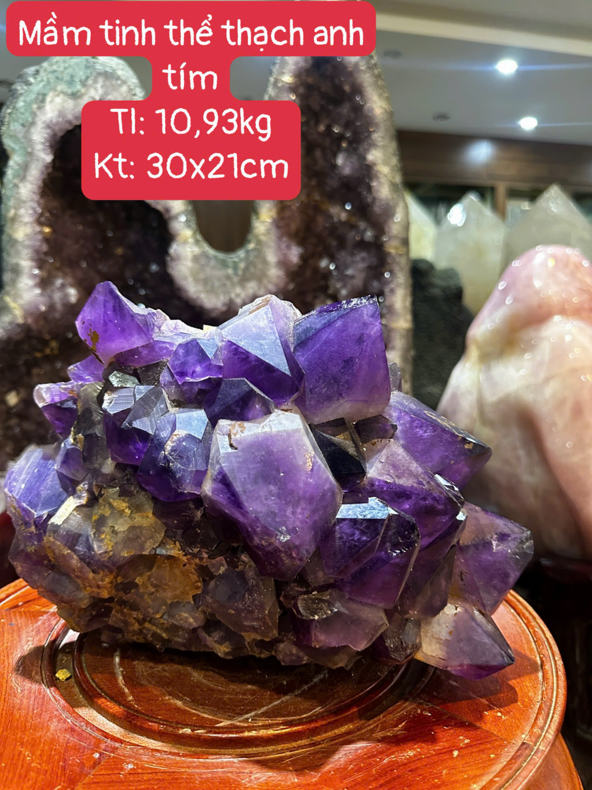 Mầm Tinh Thể Thạch Anh Tím Trấn Trạch Tụ Tài