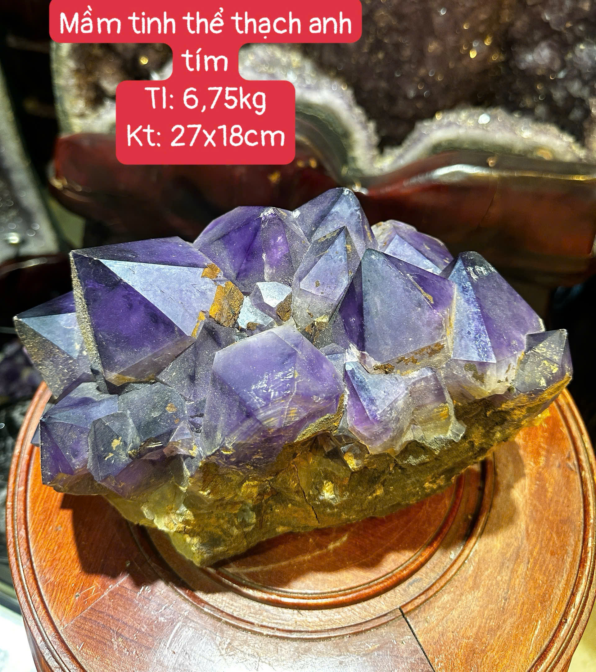 Mầm Tinh Thể Thạch Anh Tím Trấn Trạch Tụ Khí Định Hướng Cơ Nghiệp