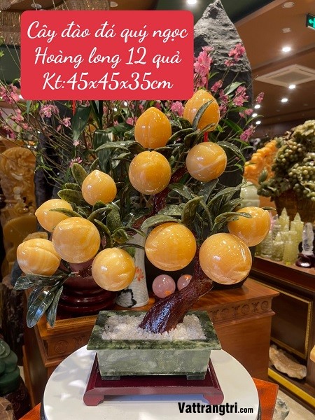 Cây đào đá quý ngọc Hoàng long 12 quả 45cm (Cây nhỏ)