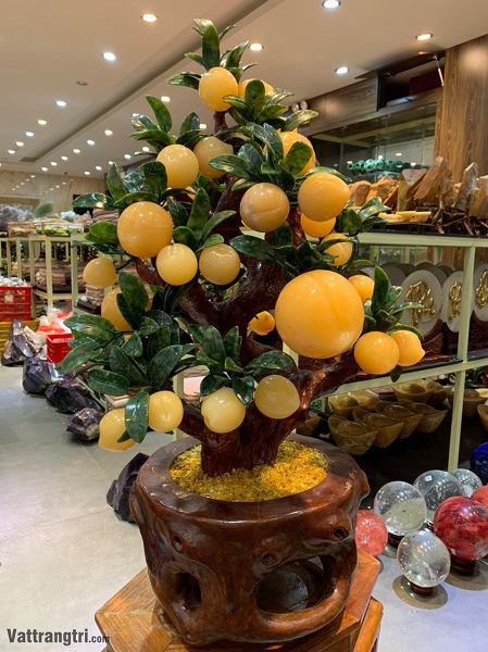 Cây đào đá quý Ngọc Hoàng Long 38 quả (Cây To)