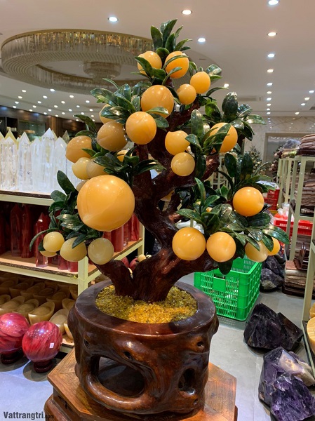 Cây đào đá quý Ngọc Hoàng Long 38 quả (Cây To)