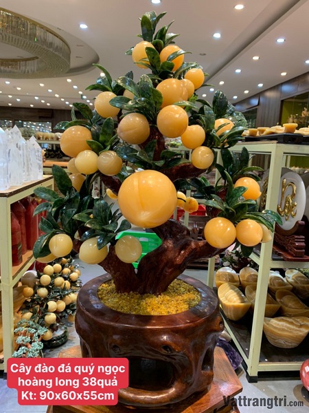 Cây đào đá quý Ngọc Hoàng Long 38 quả (Cây To)