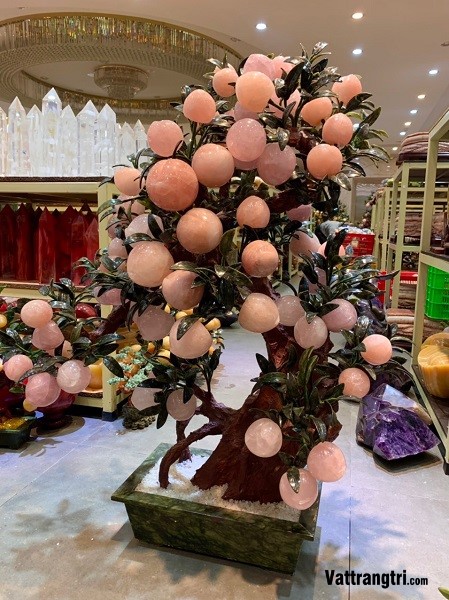 Cây Đào Đá Thạch Anh Hồng 68 Quả (Cây Nhỡ)