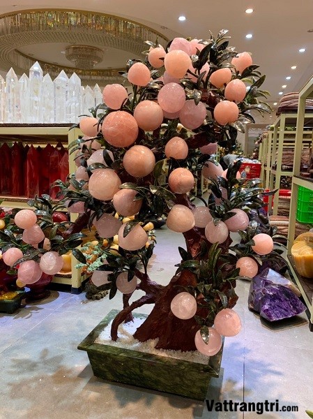 Cây Đào Đá Thạch Anh Hồng 68 Quả (Cây nhỡ)