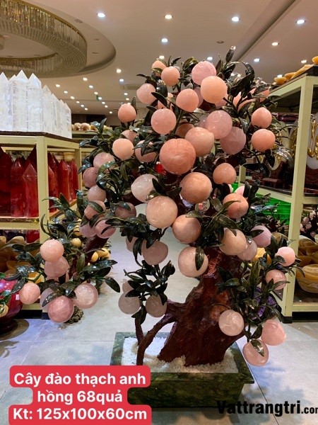 Cây Đào Đá Thạch Anh Hồng 68 Quả (Cây nhỡ)